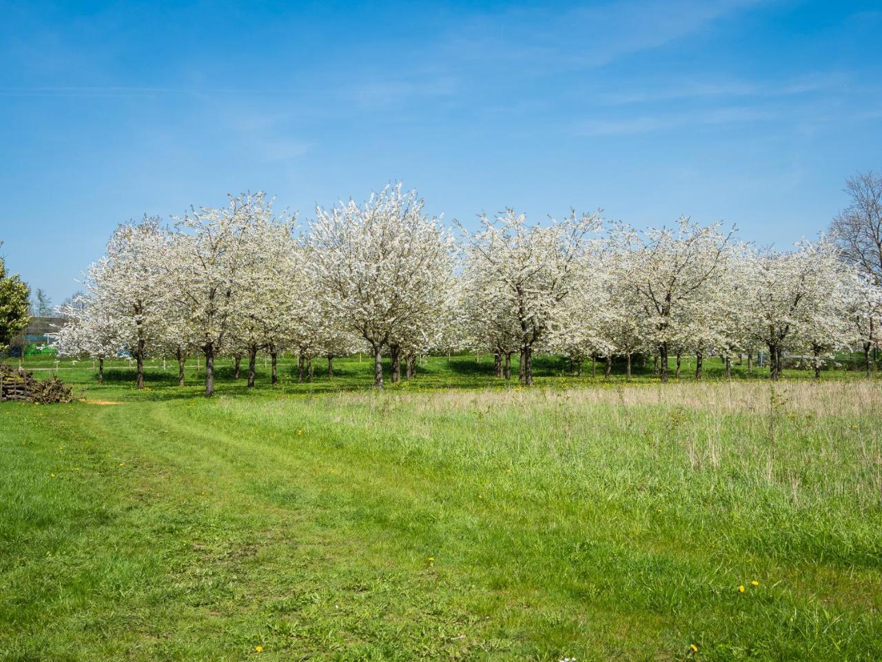 Bed and Breakfast De Oosterling Deil Zewnętrze zdjęcie